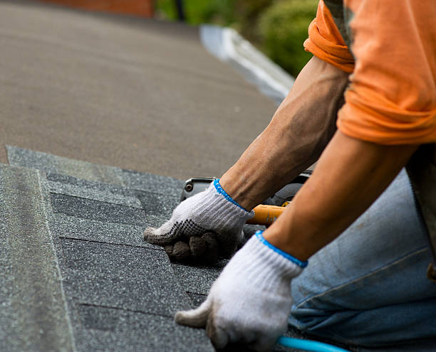 Best Roof Gutter Cleaning  in Rosamond, CA